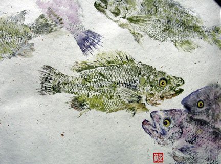 http://www.jeankigel.com/tilapia%20confusion%20y%20&%20P85.jpg